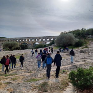Image_1(4)-1