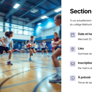 Section-Handball